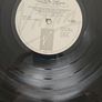 Youssou N'Dour LP - The Lion Image 5