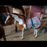 My Generation Stable & Accessories Image 7