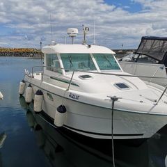 Merryfisher 695