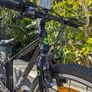 Frog Bike Image 3