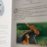 Kids Story Book Set Image 4