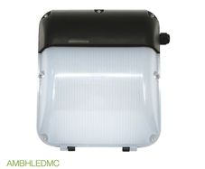 Outdoor Wall Light 30W LED IP65