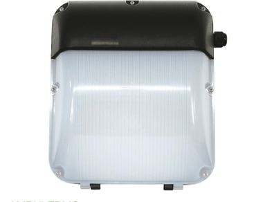Outdoor Wall Light 30W LED IP65