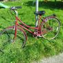 Apollo bicycle Image 5