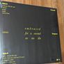 Amanda Bergman - embraced for a second as we die [brand new VINYL] Image 2