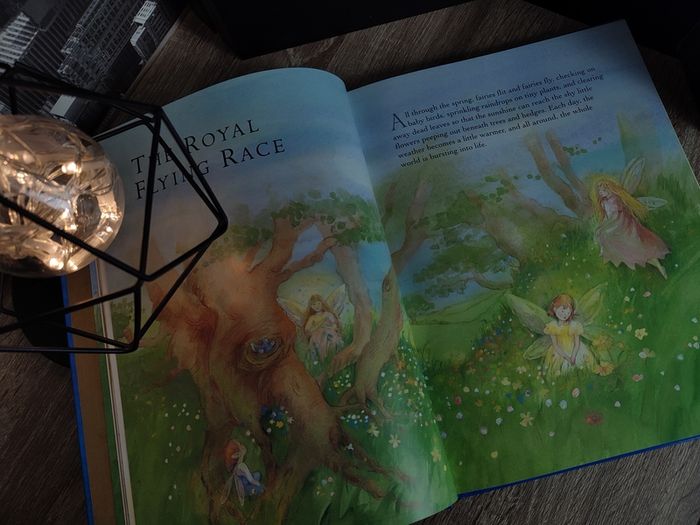 The Magical World of Fairies ! Bautiful Hardcover ! 2004 ! by Armadillo !