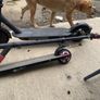 PROCE DROP 2 electric scooters Image 2