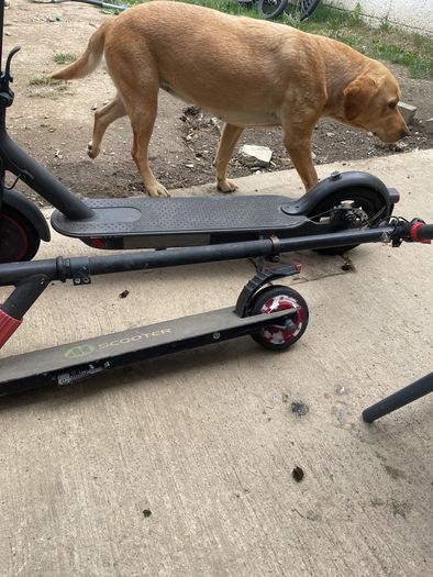PROCE DROP 2 electric scooters