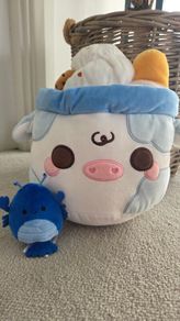 Teddies | squishmallow & puddle barn