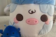 Teddies | squishmallow &amp; puddle barn