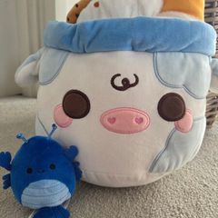 Teddies | squishmallow & puddle barn