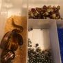 Beads Image 2