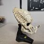 Predator Skull Image 2