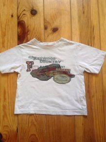 Teeshirt Age 4