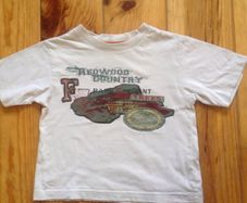 Teeshirt Age 4
