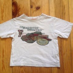 Teeshirt Age 4