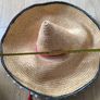 Sombrero Mexican party hat Halloween Image 4