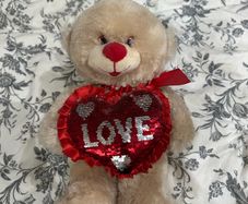 Love Teddy