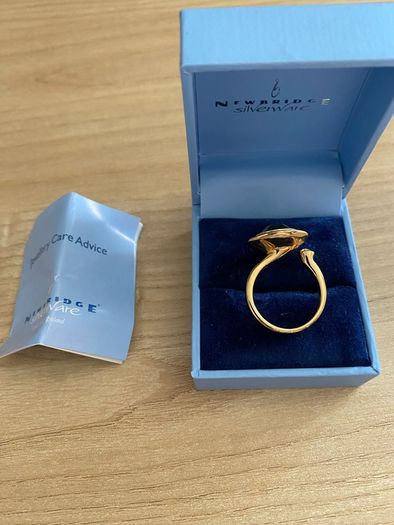 Newbridge Silverware ring with Montana coloured stone
