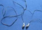 Earphones