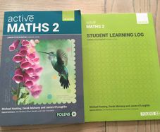 Active Maths 2 - Higher level - Brand New