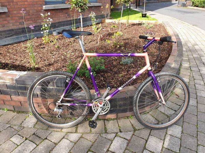 Raleigh Moonshine MTB