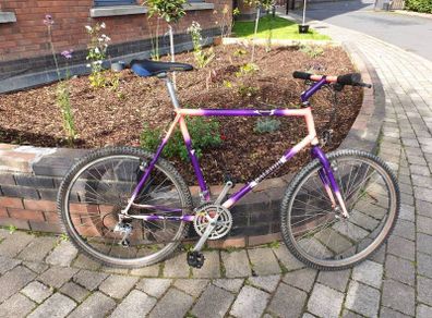 Raleigh Moonshine MTB