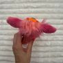 Magic Mixies Fire Gem Magical Misting Surprise Pet Plush approx. 8" Orange Used Please look at the pictures Image 9