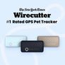 Cat Mini Tractive Tracker Image 8