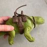 vintage star wars Dewback Image 3