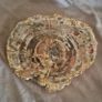 Fossilized wood, Madagascar, Triassic period. With metal display stand. Image 2