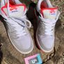 Get Rare Hype Nike Dunk SBs Image 2
