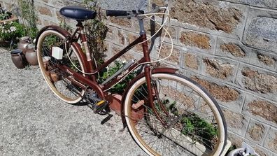 vintage Raleigh Ladies original bicycle bike