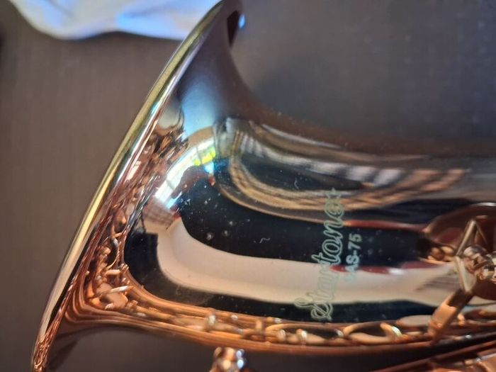 Alto Saxophone