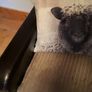 3 seater couch Image 2