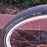 MTB COYOTE, 26" ready to go. Image 4
