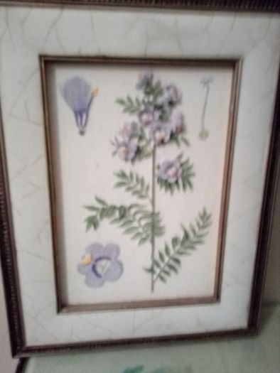 Home And Garden
