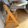 hauck Alpha+, Natural Beech Wooden High Chair BUNDLE for Children from 6 Months to 90 kg Image 4