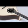 Andy Tobin Bouzouki Image 3