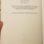 The Diviner: The Art Of Brian Friel by Richard Pine Image 2