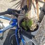 bike needs fixing Image 2
