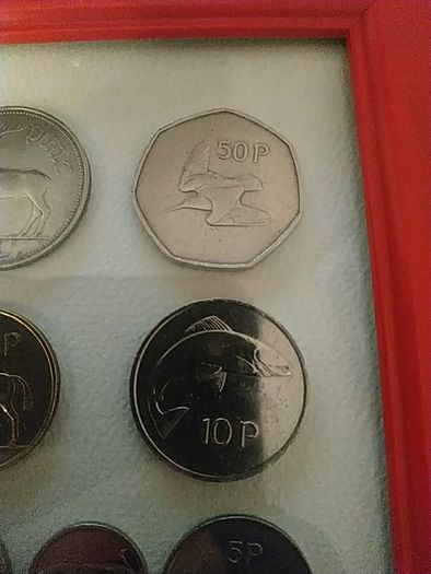 Irish coins