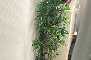 Large fake plant