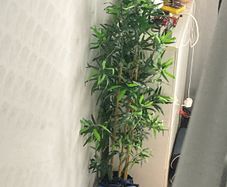 Large fake plant