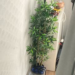 Large fake plant