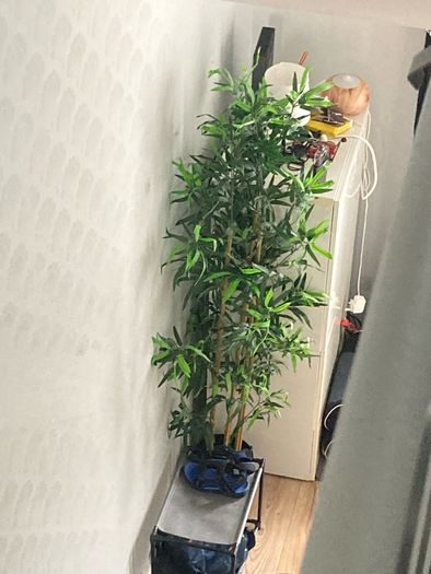 Large fake plant