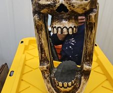 skull mirror