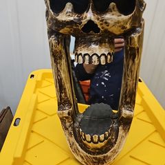 skull mirror