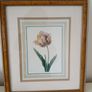 2 Vintage Framed Botanical Prints Image 2