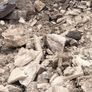 Sand stone Image 3